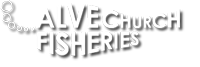 Alvechurch Fisheries Logo